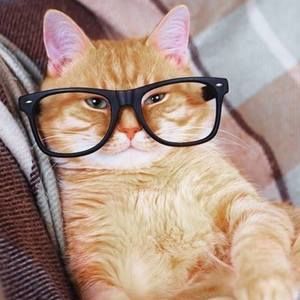 Meet your Posher, Tabatha